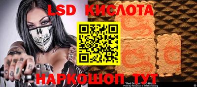 дурь Сланцы